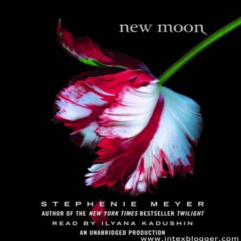 Book 2   new moon