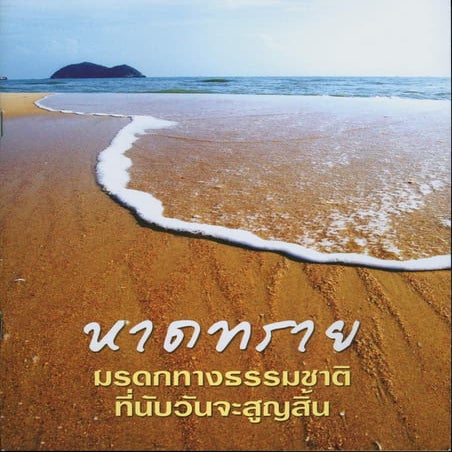 หาดทราย มรดกทางธรรมชาติ ที่นับวันจะสูญสิ้น