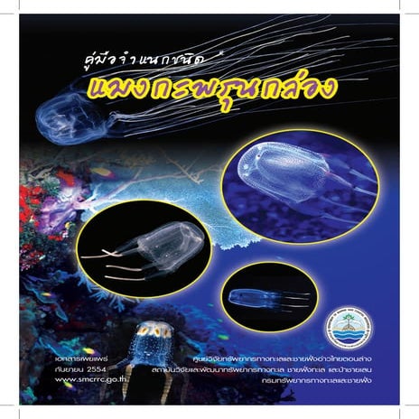 คู่มือการจำแนกชนิดแมงกระพรุนกล่อง