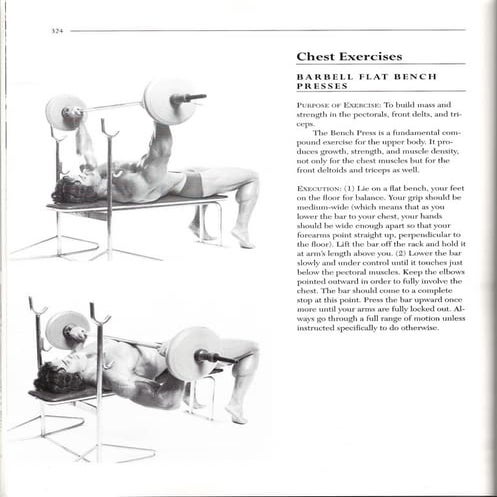 Book 3 4 Chest Exercises | PDF