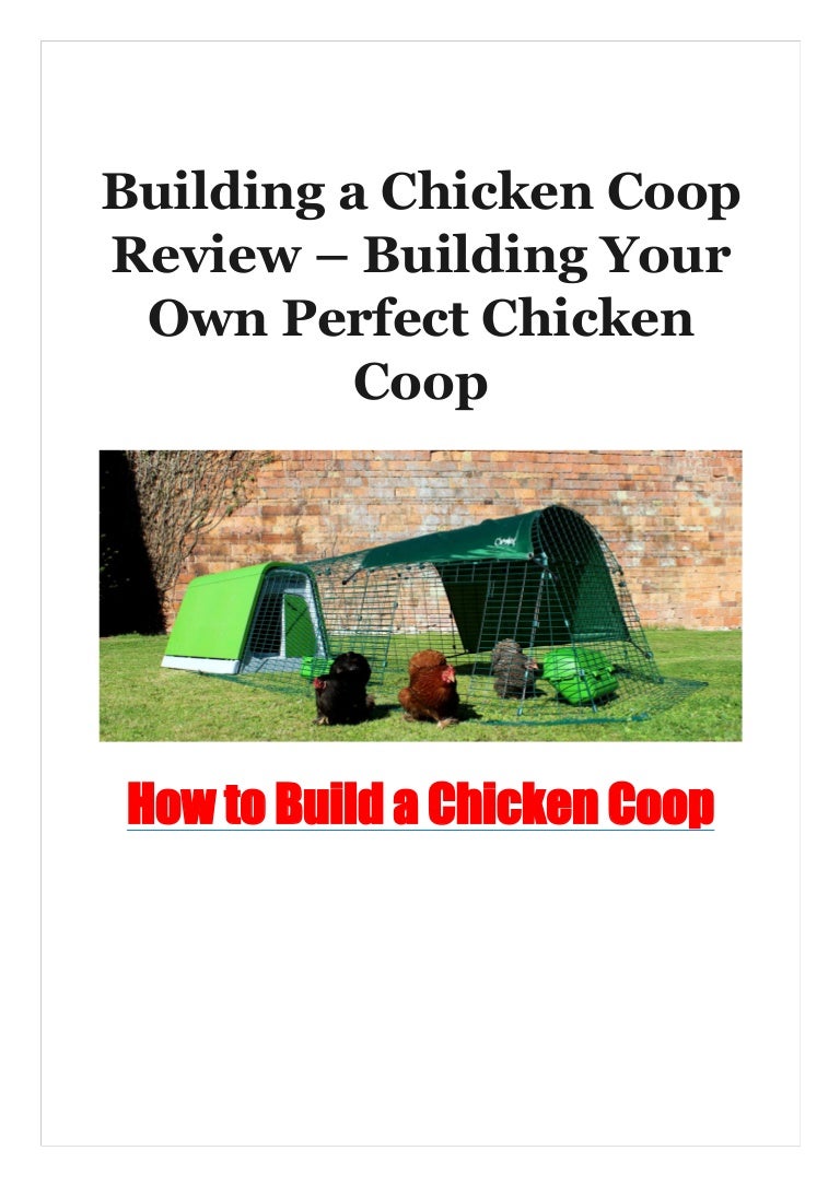 Building A Chicken Coop Review Building Your Own Perfect Chicken Co