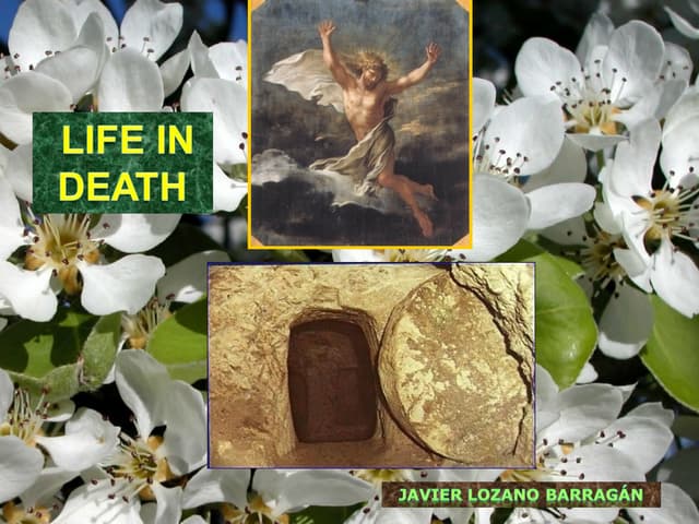 Life in death
