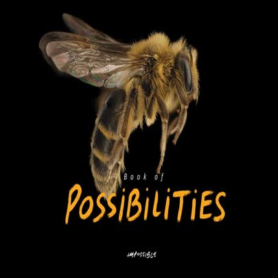 Book+of+Possibilities+-+ultimate+version.pdf