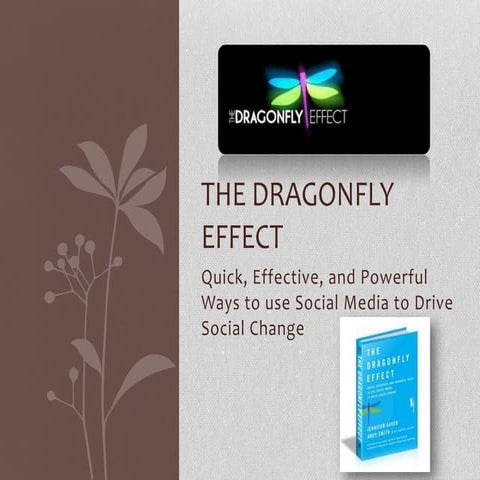 The Dragonfly Effect book report