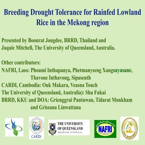 GRM 2013: Breeding Drought Tolerance for Rainfed Lowland Rice in the Mekong r...