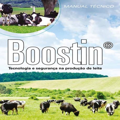 Manual técnico - Boostin
