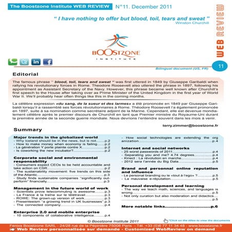 Boostzone Institute - Web Review December 2011