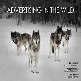 Advertising in the Wild