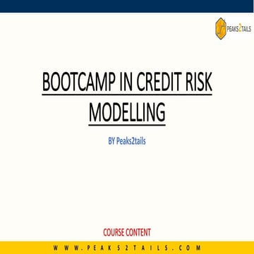 Bootcamp in Credit Risk.pdf