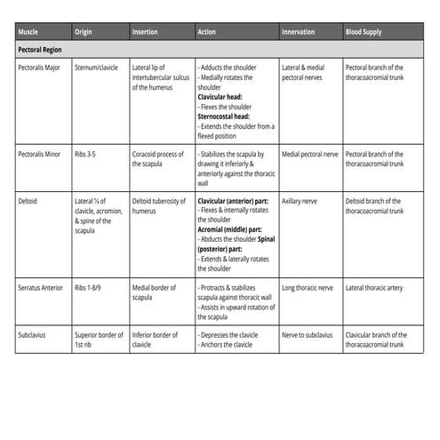 Bootcamp Muscle Tables.pdf with origin insertion and action