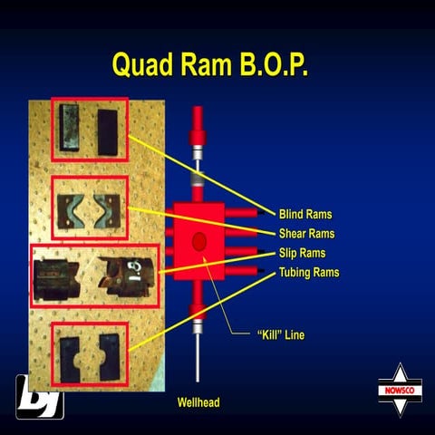 BOP Function Presentation.ppt