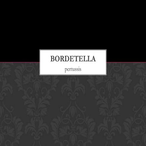 Bordetella