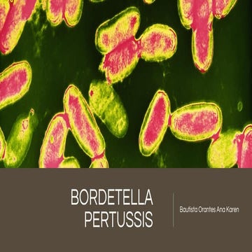Microbiología de la Bordetella Goricia.pptx
