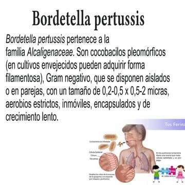 Bordetella pertussis generalidades .pptx