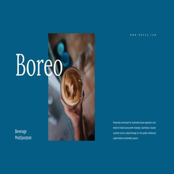 Boreo Presentation : Light Color Theme