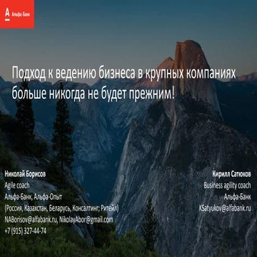 Николай Борисов, Кирилл Сатюков. Подход к ведению бизнеса в крупных компаниях...