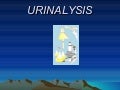 Urinalysis