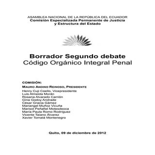 Borrador Articulado COIP II Debate 