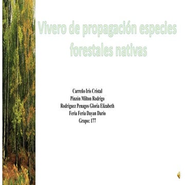 Vivero de propagación de especies forestales nativas