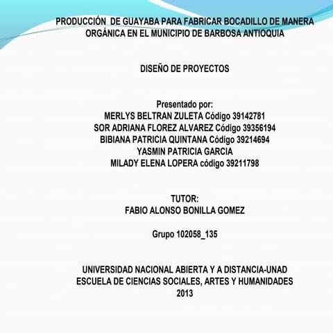 Borrador trabajo final_de_disenos