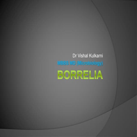 Borrelia