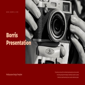 Borris Presentation : Light Color Version