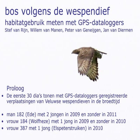 Bos volgens-de-wespendief publ-pres-diermen-2012_compleet | PPT
