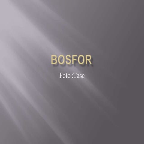 Bosfor