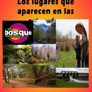 Bosque a