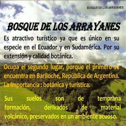 Bosque de los arrayanes | PPTX