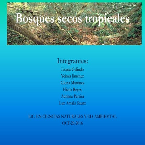Bosques secos-tropicales