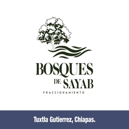 Bosques del Sayab medio ambiente y naturaleza.pdf