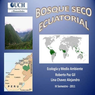 ECORREGIONES Bosque seco ecuatorial