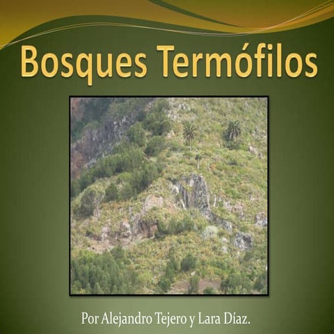 Bosques TermóFilos | PPTX