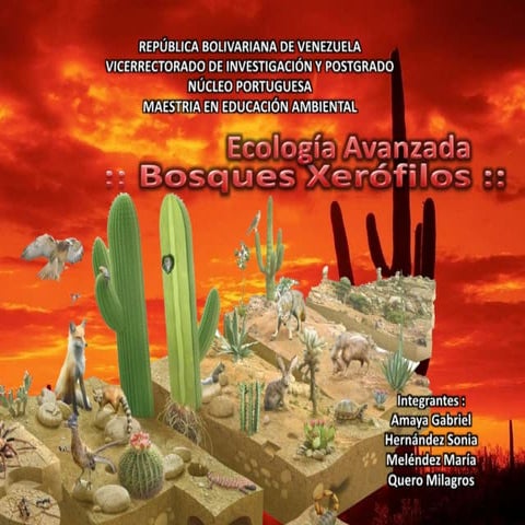 Bosques Xerofilos