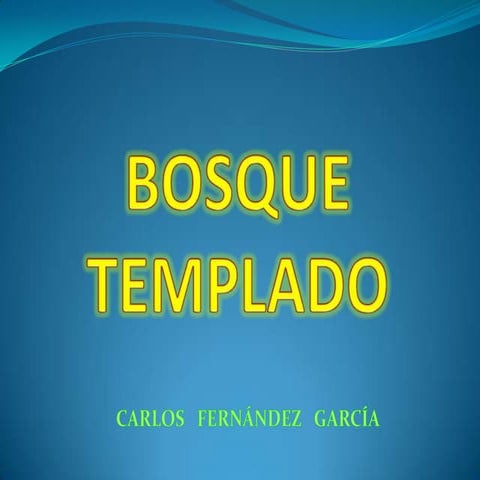 Bosque templado