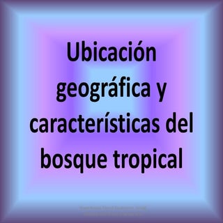 Bosque tropical