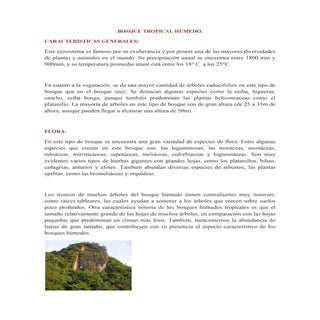 Bosque tropical húmedo