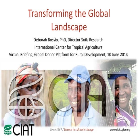 Transforming global landscapes