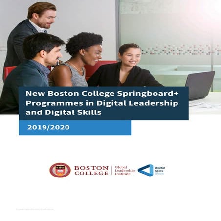 Boston College and Digital Skills Global Springboard Programmes