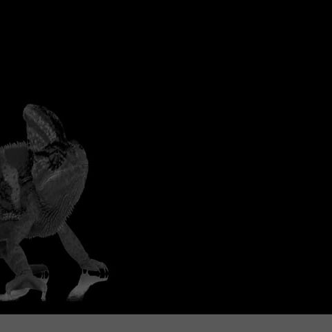 The value of structured data.