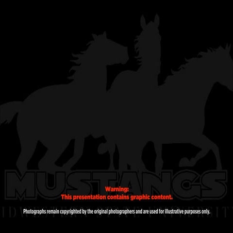 All I Needed to Know About Photojournalism Ethics, I Learned in Kindergarten