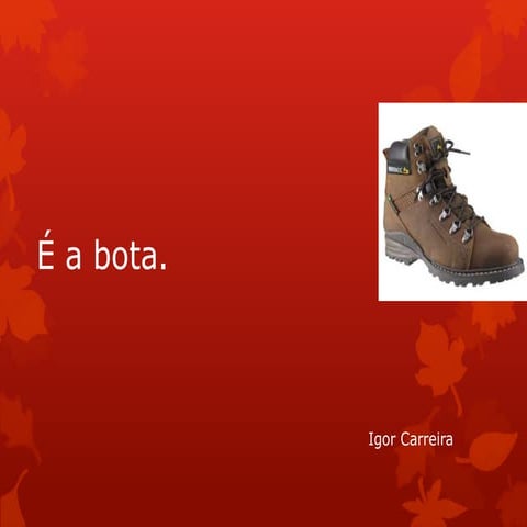 Bota1