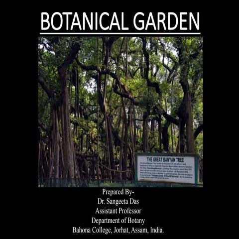 Botanical garden