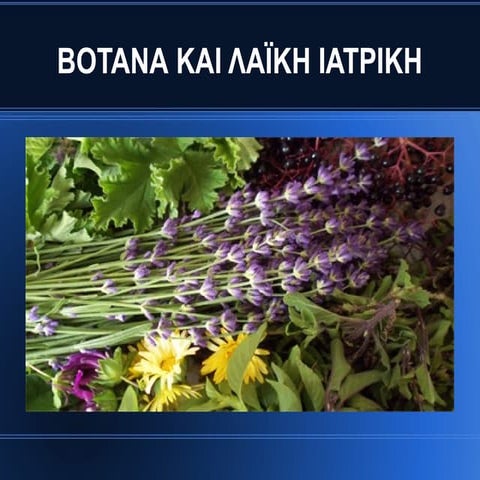 Βοτανική - Παρουσίαση εργασιών