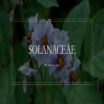 Solanaceae family | PPTX