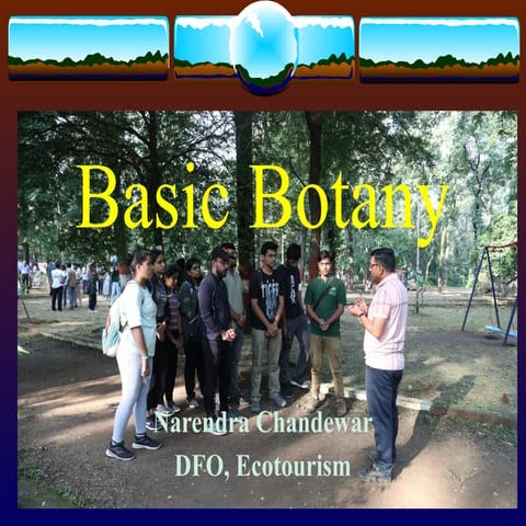 basic botany for 5th class and above student