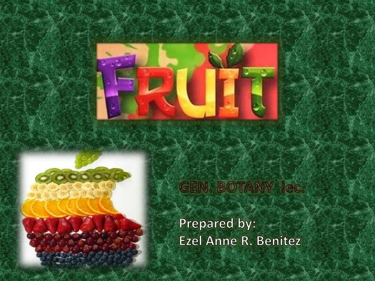 Botany fruits