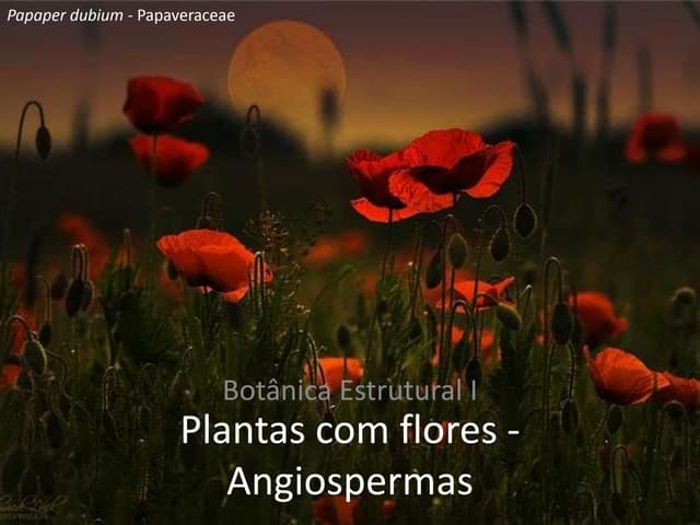 Angiospermas - Introdução Geral