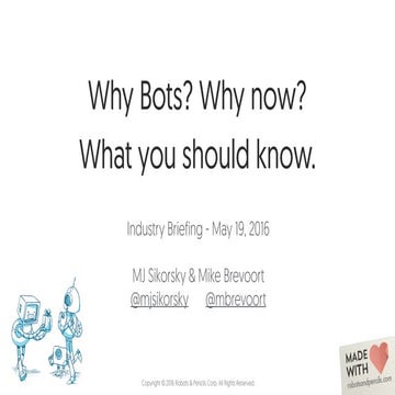 A Bot Industry Briefing